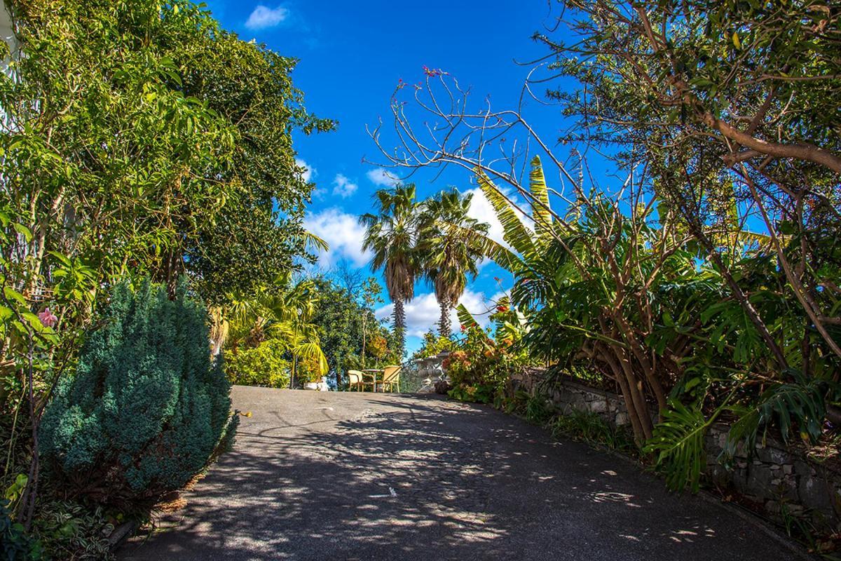 Vila Afonso Estreito de Camara de Lobos Luaran gambar